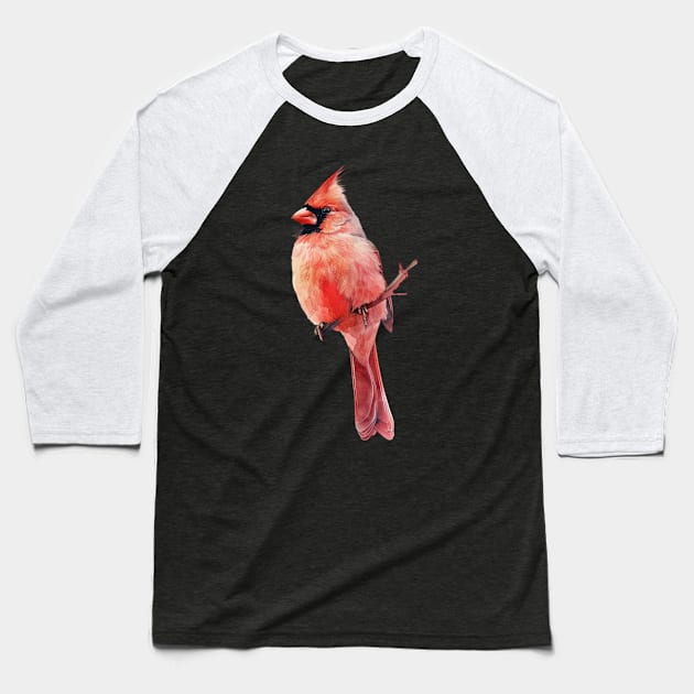 Cardinal Bird Apparel Wonderland Baseball T-Shirt by Camping Addict